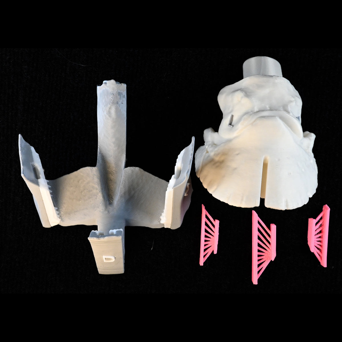Suspensory Apparatus of the Distal Phalanx (SADP)/Laminitis Model