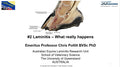 Laminitis - what really happens