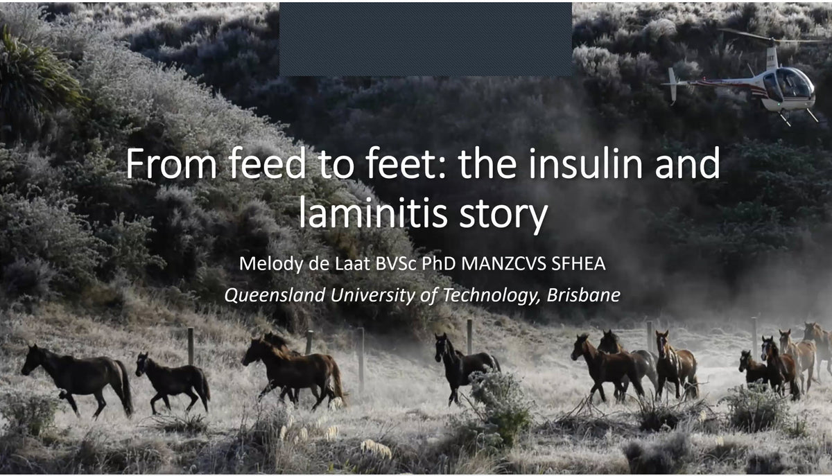 From Feed to Feet - The Insulin and Laminitis Story with Dr Melody de Laat