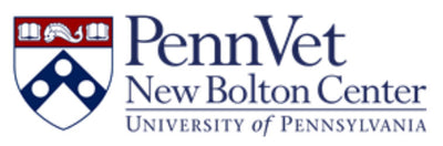 logo 7