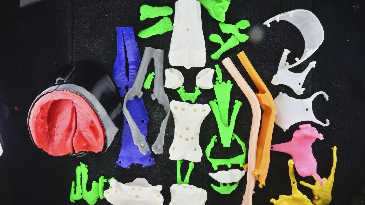 Multi Component Model of the Equine Distal Limb (MCM Mk2)